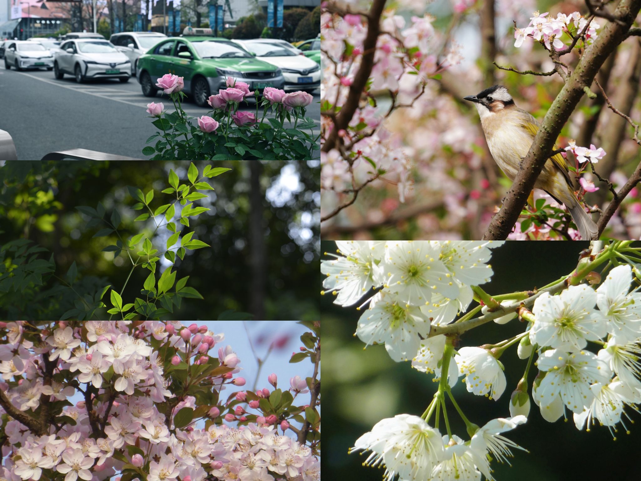 英国威廉集团官网