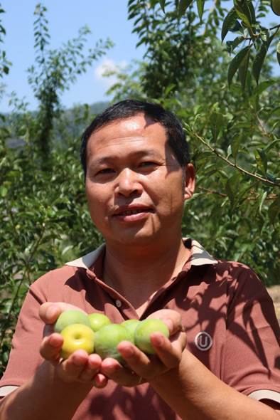 英国威廉集团官网